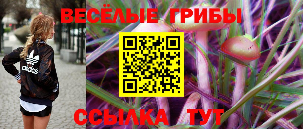 Санкт-Петербург  Галлюциногенные грибы Cubensis  Псилоцибиновые грибы Psilocybine cubensis  Вход с VPN 